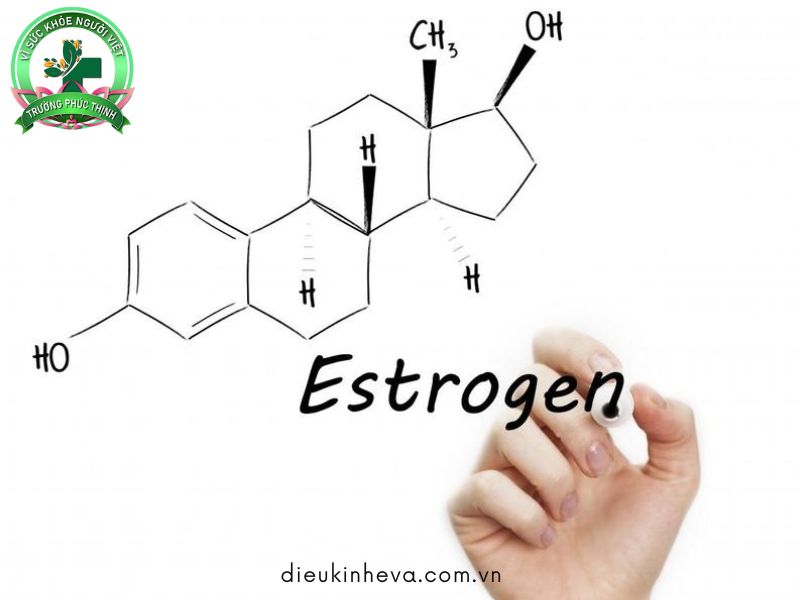 Thuốc nội tiết chứa estrogen cần có chỉ định của bác sĩ