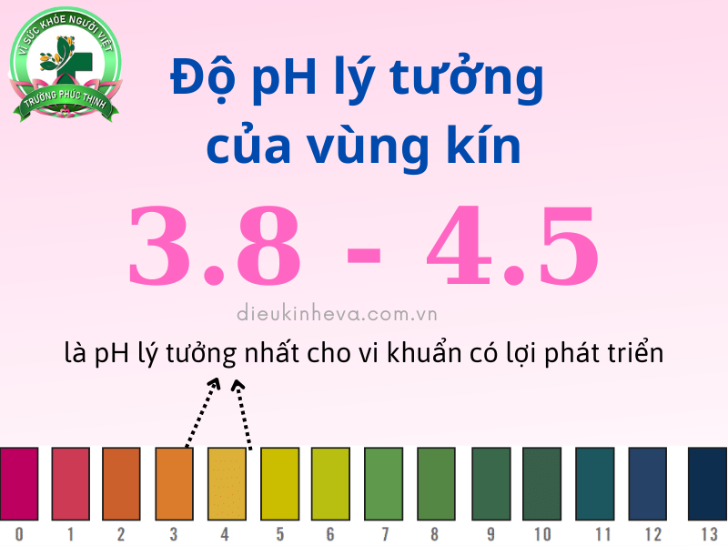 Độ pH âm đạo bình thường dao động trong khoảng 3.8 - 4.5